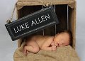N17Luke161btext3 5x7b